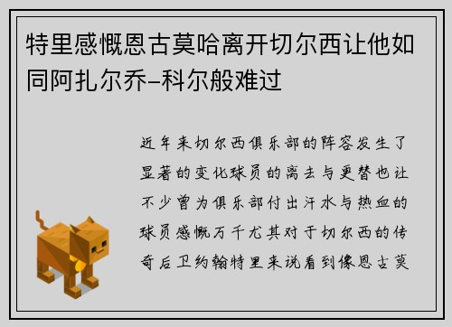 特里感慨恩古莫哈离开切尔西让他如同阿扎尔乔-科尔般难过